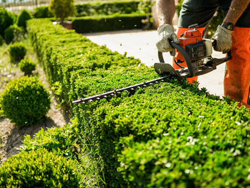 Plumbing Services